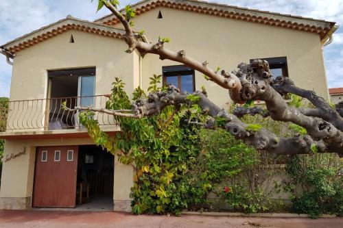 Spacious House With Garden In Downtown