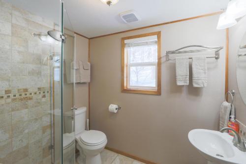 a bathroom with a toilet and a sink and a shower at Spruce Cabin in Talkeetna