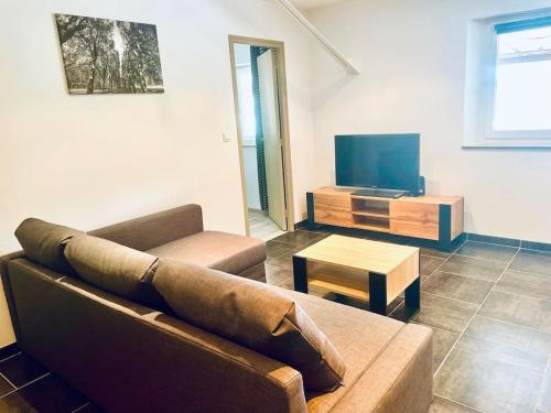 un salon avec un canapé et une télévision dans l'établissement le 29 - Appartement au coeur du vignoble champenois, à Damery