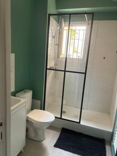 une salle de bain avec douche et toilettes et une fenêtre dans l'établissement Studio cosy intramuros Avignon, à Avignon