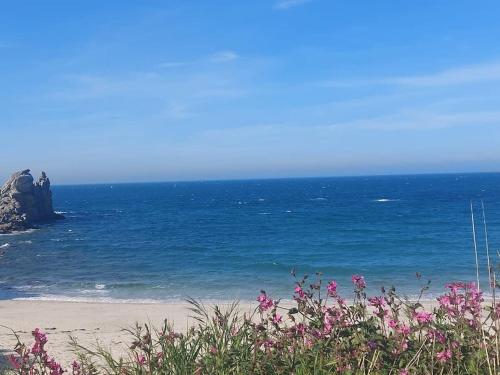une plage avec des fleurs roses et l'océan dans l'établissement Confortable et Fonctionnelle, à Cléder