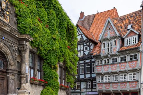 a group of buildings with green ivy on them at Ferienwohnung Zuckerschnute in Quedlinburg