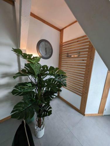 a plant in a room with a clock on the wall at Évasion Verte en Alsace ! in Niederschaeffolsheim