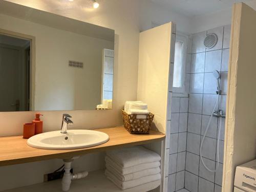 une salle de bain avec un lavabo, un miroir et une douche dans l'établissement Bord de mer avec piscine Type 2, à Santa-Maria-Poggio