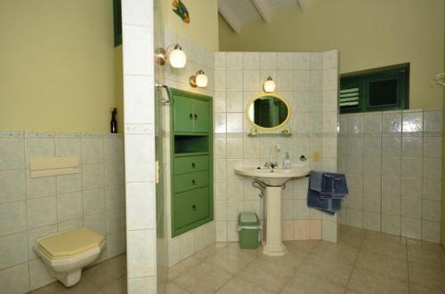 a bathroom with a sink and a toilet and a mirror at Kas Berde Kanti Laman in Kralendijk