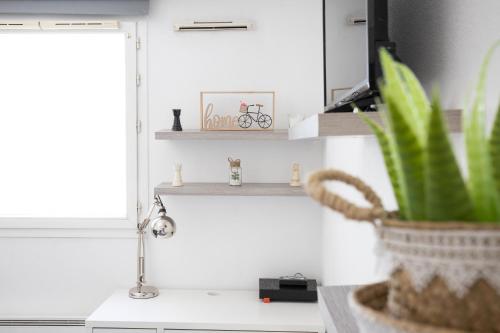 une usine assise sur un comptoir à côté d'une fenêtre dans l'établissement Studio aux portes des remparts !, à Avignon