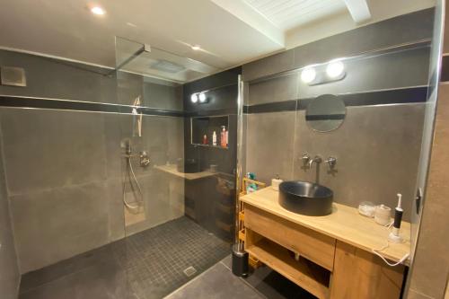 06BX Loft Pessicart