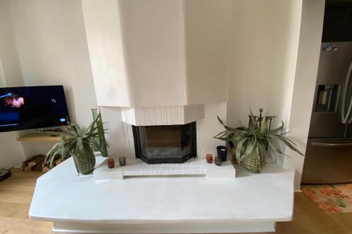 06BX Loft Pessicart