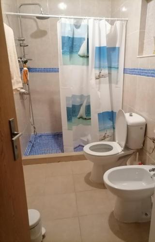 a bathroom with a toilet and a shower at Casa dos lírios in São Teotónio