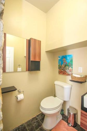 a bathroom with a toilet and a mirror at Executive 1 Bedroom Poolside Apt Kilele suite in Christiansted