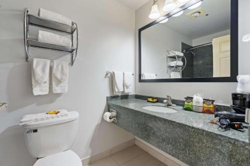 a bathroom with a toilet and a sink and a mirror at Best Western Oakbrook Inn in Oakbrook Terrace