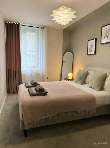a bedroom with a large bed and a mirror at Modern apartment in central quiet York with free Parking - Contemporary new building in York