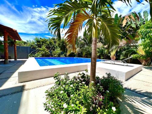 a palm tree sitting next to a swimming pool at Casa Tsuki Moderna y Elegante en Punta Zicatela in Brisas de Zicatela
