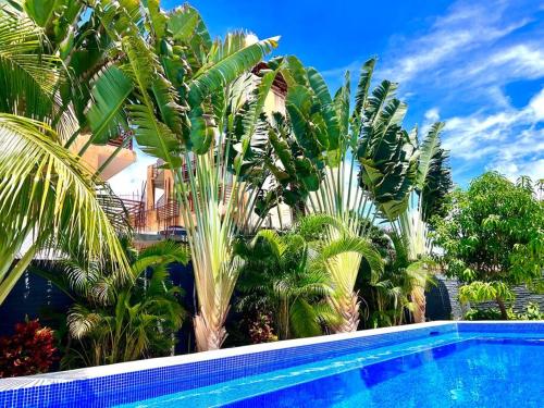 a swimming pool with palm trees in front of a house at Casa Tsuki Moderna y Elegante en Punta Zicatela in Brisas de Zicatela