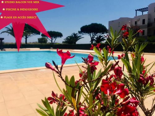 Studio cosy bord de mer avec piscine et vue mer