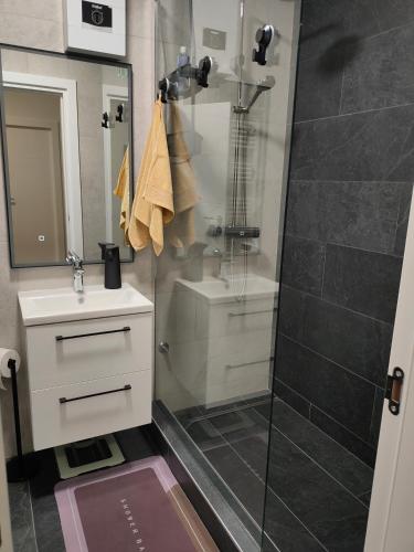 a bathroom with a shower and a sink at Broadway Apartment in Požega