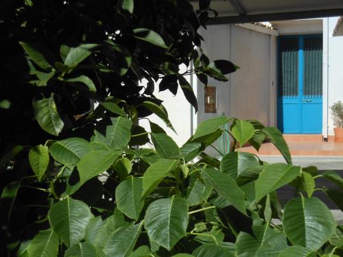 Galeriebild der Unterkunft Il Giardino Del Corso in Avola