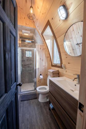 a bathroom with a toilet and a shower and a sink at Les Boisés de la rivière noire in Sainte-Émélie-de-lʼÉnergie