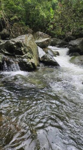 a stream of water with rocks in a river at Ocean Peak Home in Fajardo