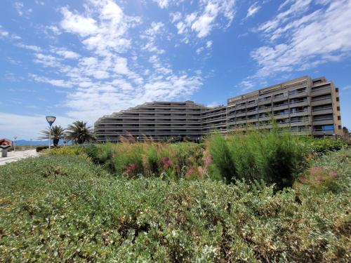 Canet Sud - T2 cabine 4/6 pers - Terrasse - Accès direct plage