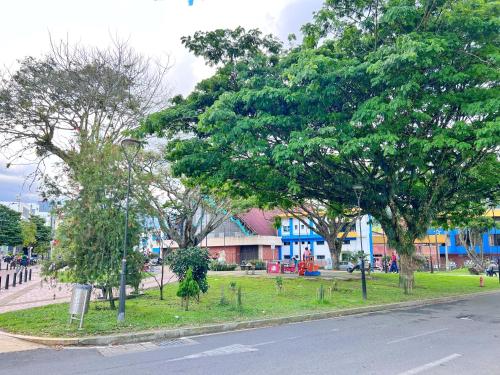 a park with trees on the side of a street at Apartamentos Amoblados En La Circunvalar Cerca a Parque Arboleda y Parque La Rebeca, Por Parceros Group in Pereira