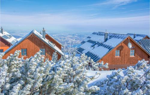 dom na szczycie śnieżnej góry w obiekcie Ferienhaus Mit Bergpanorama w mieście Ebensee