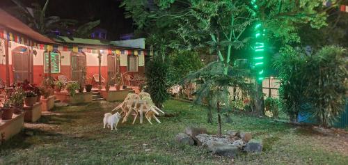 Сад в Passion Nepal Eco Lodge