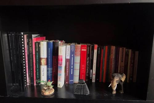 a shelf with a bunch of books and an elephant toy at Loft in Reforma 27 with Amazing balcony views on the 9th floor in Mexico City