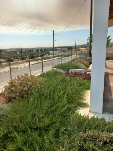 a view of a street with plants and a fence at Galatia's House in Kouklia