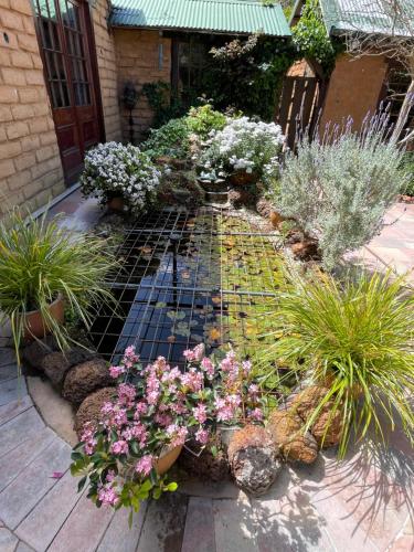 Ein Garten an der Unterkunft Patricias Garden Studio