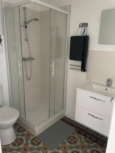 La salle de bains est pourvue d'une douche et de toilettes. dans l'établissement Le Briguiboul, à Castres