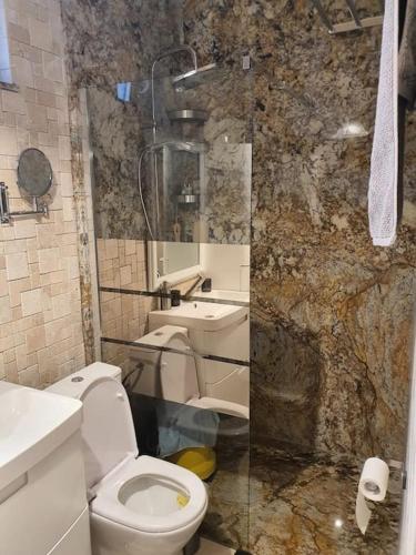 a bathroom with a toilet and a sink at Casa cu flori in Pantelimon