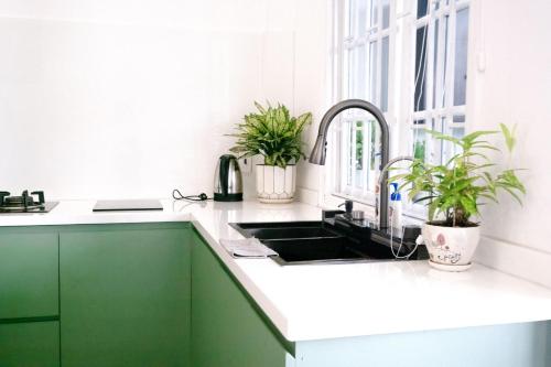 a kitchen with a sink and two potted plants at Melia Homestay Hue in Thôn Kim Long (1)