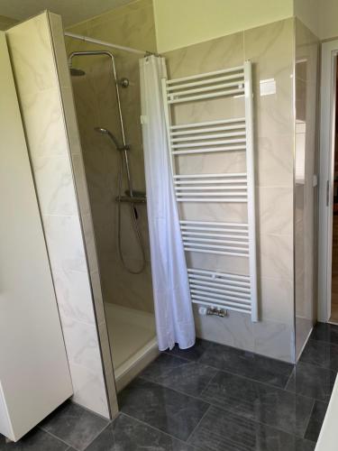 Ένα μπάνιο στο Ferienwohnungen im Hegau