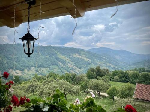 Afbeelding uit fotogalerij van Casa din Cucă in Cornereva