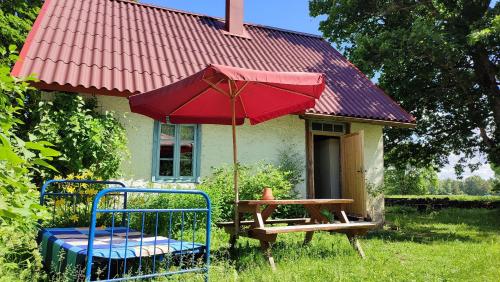 a small house with a table and a red umbrella at Viini puhkemaja in Myustelʼ