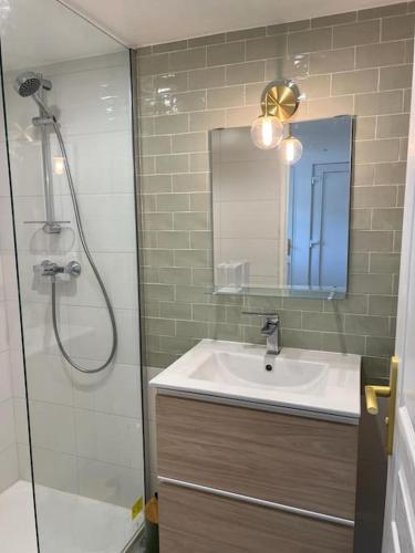 une salle de bain avec une douche, un lavabo et un miroir dans l'établissement Appartement Golfe du Morbihan- 2 pers, à Arzon