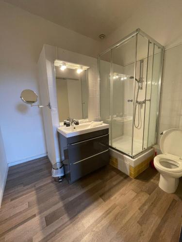 a bathroom with a shower and a sink and a toilet at bdm in Montastruc-la-Conseillère
