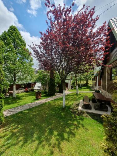 a tree with red leaves in a yard with a bench at Holiday Home Vile Calimero in Žabljak