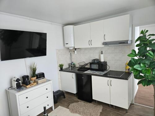 une cuisine avec des armoires blanches et un comptoir noir dans l'établissement Grand duplex Stade de France 21 pour 4 personnes, à Saint-Denis