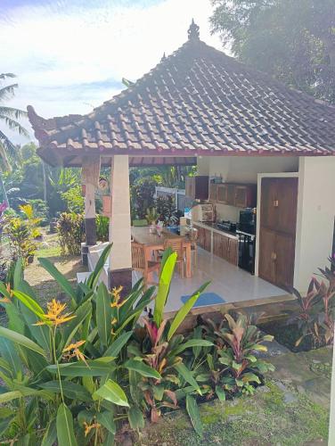 Κήπος έξω από το Kirra's Beach House