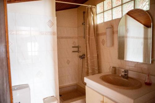 une salle de bain avec un lavabo et une douche dans l'établissement Le Thiers - Near Sea House Garden 550m to Beach, à Saint-Cyprien