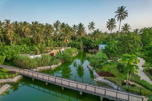 a bridge over a river in a park with palm trees at Ycona Eco-Luxury Resort, Zanzibar in Dikoni