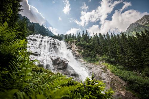 a waterfall in the middle of a forest at Hotel Donnerhof in Fulpmes