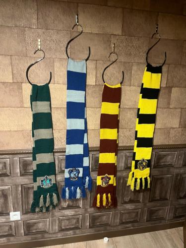 a group of ties hanging on a wall at Le Repaire Magique du Grand Sorcier in Solre-le-Château
