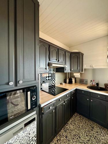 - une cuisine avec des placards vert foncé et un évier dans l'établissement superbe t2 200 m de la plage 4SUF502, au Barcarès