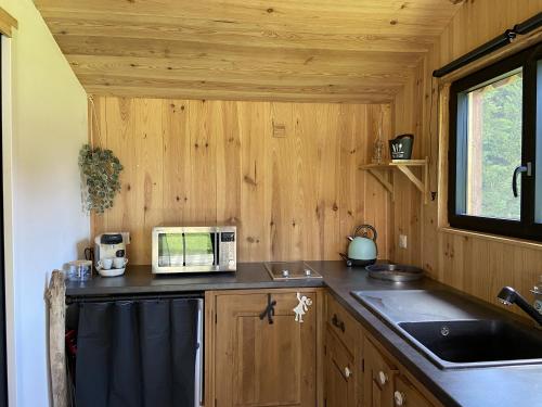 - une cuisine avec un comptoir, un four micro-ondes et un évier dans l'établissement Ma cabane Océan, au Le Verdon-sur-Mer