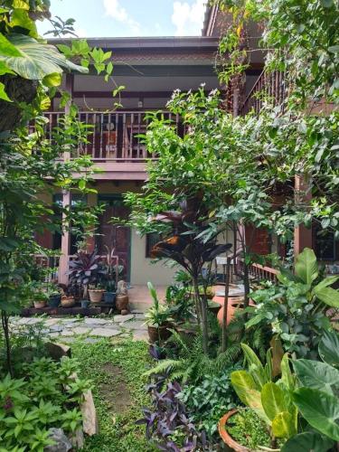 Taman di luar Lamour Guesthouse ละเมอ เกสต์เฮาส์ R-02