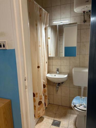 a bathroom with a sink and a toilet and a mirror at Apartments Lilly Weiss in Banjol