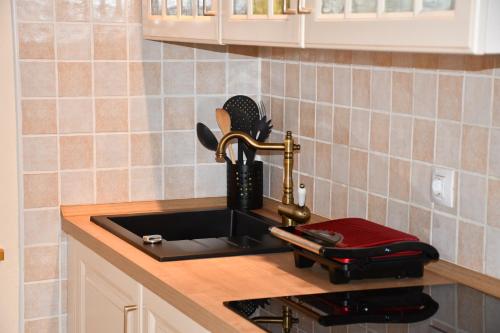 a kitchen sink with a faucet on a counter at Apartment Abinkar in Tolmin